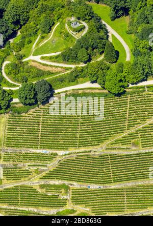 , Weinberg am Freiburger Schlossberg in Oberau und Ludwigshöhe, 15.07.2014, Luftbild, Deutschland, Baden-Württemberg, Freiburg im Breisgau Stockfoto