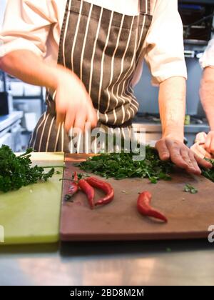 Küchenchef hackt frische Kräuter und Chilis in der kommerziellen Küche Stockfoto