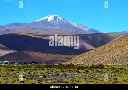 Vulkan Quevar von Santa Rosa de los Pastos Grandes, Salta, Argentinien Stockfoto
