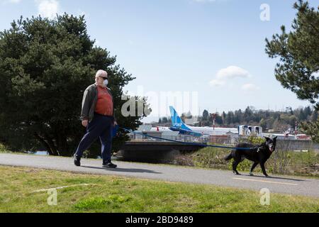 Ein Mann, der eine chirurgische Maske trägt, läuft am 7. April 2020 seinen Hund auf dem Cedar River Trail in Renton, Washington. In der Ferne ist der 737 max 10, der am Renton Municipal Airport geparkt wurde, wenn er auf seinen ersten Testflug wartet. Aufgrund der aktuellen Einschätzung der Verbreitung des COVID-19-Virus und der Zuverlässigkeit der Lieferkette hat Boeing die vorübergehende Einstellung der Produktionsabläufe in allen Puget Sound-Gebieten, den Standorten von Moses Lake und den 787 Operations in South Carolina bis auf weiteres verlängert. Stockfoto