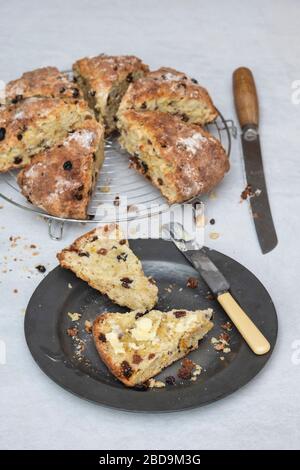 Hausgemachtes Obst-Soda-Brot auf einer Zinn- und Runddraht-Kühlregal Stockfoto