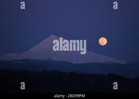 Sandy, USA. April 2020. Der größte Supermond des Jahres ragt am 7. April 2020 von Sandy, Ore., über Mount Hood auf. (Foto von Alex Milan Tracy/Sipa USA) Credit: SIPA USA/Alamy Live News Stockfoto