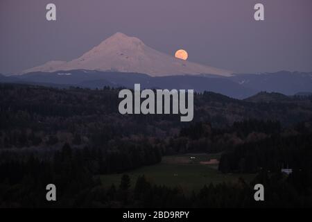 Sandy, USA. April 2020. Der größte Supermond des Jahres ragt am 7. April 2020 von Sandy, Ore., über Mount Hood auf. (Foto von Alex Milan Tracy/Sipa USA) Credit: SIPA USA/Alamy Live News Stockfoto