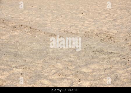 Glatter Sand Texture von einem lokalen Strand Stockfoto