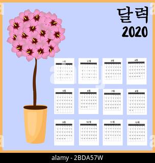 Kalender 2020 Koreanisch. Stock Rose oder Hibiskus nationales Symbol von Südkorea. Mit Pergament scrollen. Persimonobst. Übersetzung: Wochentage und Stock Vektor