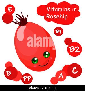 Vitamine in den Rosenhüften. Herbstrose, Vitamin C in Beeren und Früchten. Stock Vektor