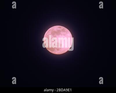 Der Vollmond am 7. April 2020 auch als "Pink Moon" bezeichnet Stockfoto