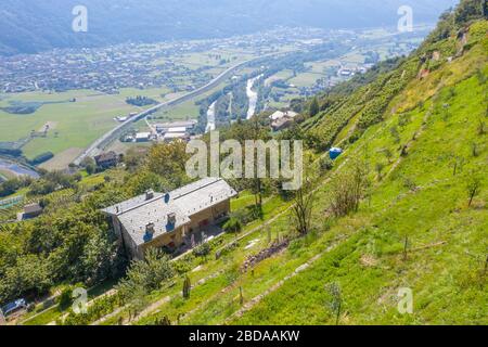 Bauernhöfe auf Hügeln von terrassenförmigen Weinbergen, Costiera dei Cech, Valtellina, Provinz Sondrio, Lombardei, Italien Stockfoto