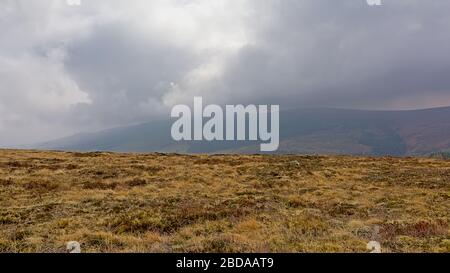 Foggy Ticknock-Berglandschaft mit Heideflächen, Dublin, Irland Stockfoto