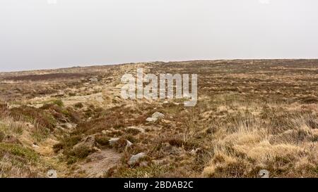 Foggy Ticknock-Berglandschaft mit Heideflächen, Dublin, Irland Stockfoto