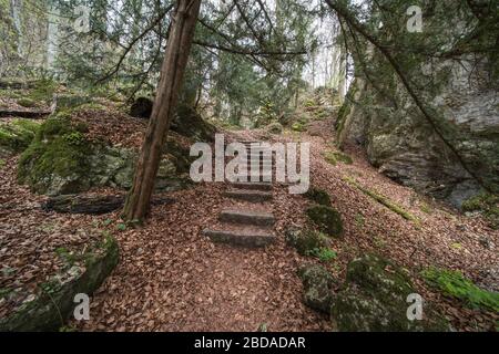 Mystische Schlucht durch einen Wald mit Moos auf den Felsen, der Ort liegt im Südwesten Deutschlands. Stockfoto