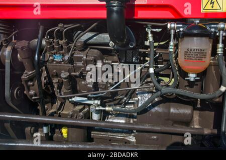 Jasa Tomic, Serbien, 29. September 2019. Traktormotor bei der Präsentation neuer IMT-Traktoren von Jarkovac auf der örtlichen Landwirtschaftsmesse. Stockfoto