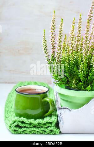 Bouquet aus Heidekraut, Teebecher und Strickschal, selektiver Fokus Stockfoto