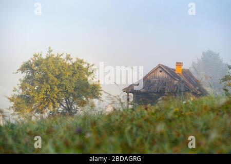 Morgenlandschaft mit der alten Hütte im Nebel Stockfoto