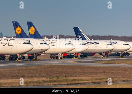 Frankfurt, 7. April 2020: Lufthansa Airbus A330 und A340 geerdet und am Frankfurter Flughafen (FRA) in Deutschland gelagert. Airbus ist ein Flugzeugwahn Stockfoto