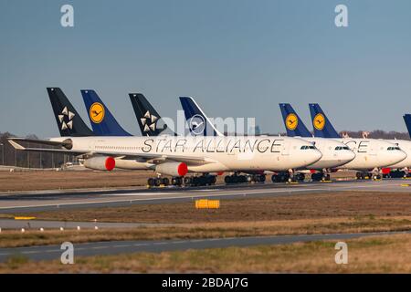 Frankfurt, 7. April 2020: Lufthansa Airbus A340 am Frankfurter Flughafen (FRA) in Deutschland geerdet und gelagert. Airbus ist ein Flugzeughersteller Stockfoto