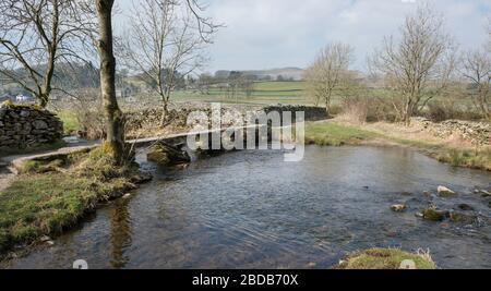 Flascoe Bridge, eine steinerne Brücke über Austwick Beck im Yorkshire Dales National Park Stockfoto