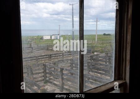 Blick auf die Lagerplätze durch Scheren Schuppen Fenster, Glenburn, Wairarapa, Neuseeland Stockfoto