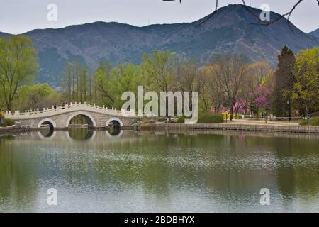 Botanischer Garten Peking, China Stockfoto