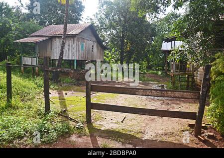 Ein Stelzenhaus im Dorf Chi Phat, Cardamom Mountains, Kambodscha Stockfoto