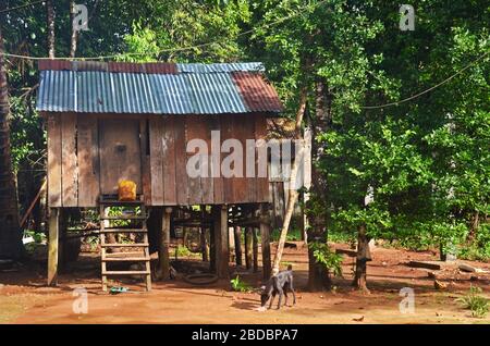 Ein Stelzenhaus im Dorf Chi Phat, Cardamom Mountains, Kambodscha Stockfoto