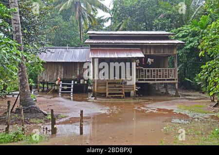 Stelzenhäuser im Dorf Chi Phat, Cardamom Mountains, Kambodscha Stockfoto