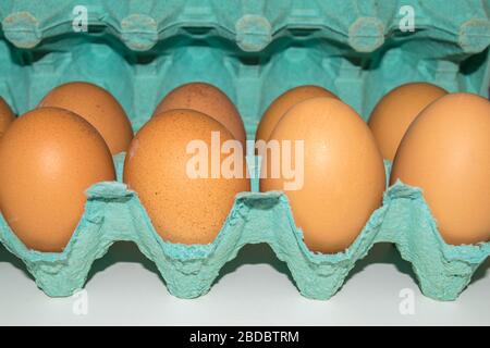 Frische braune Hühnereier in einer grünen Schachtel Stockfoto