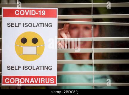 Eine Frau in Selbstisolation zu Hause in Großbritannien während der Coronavirus Covid 19-Pandemie. Stockfoto