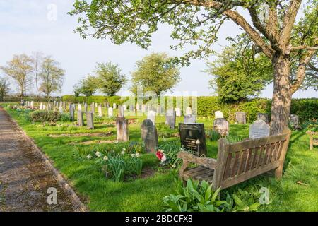 Friedhof mit Parkbank und Bäumen in St Thomas' Church, Perry Green, Much Hadham, Hertfordshire. GROSSBRITANNIEN Stockfoto