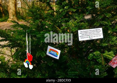 April 2020, Southborough Common, Kent, Großbritannien: Childs Drawing of a Rainbow to Thank NHS Staff Hanging on a Tree Put up for the Purpose on Southborough Common during the Government erlegten Quarantäne/Lockdown, um die Ausbreitung des Coronavirus zu verringern. Kinder im ganzen Land haben Botschaften und Zeichnungen von Regenbögen in Fenster und anderswo gesetzt, um Hoffnung zu verbreiten und die Menschen zu ermutigen, während der Pandemie fröhlich zu bleiben. Stockfoto