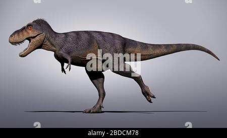 Tarbosaurus bataar eine Gattung von Tyrannosauriden Theropoden Dinosaurier Stockfoto