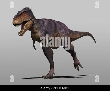 Tarbosaurus bataar eine Gattung von Tyrannosauriden Theropoden Dinosaurier Stockfoto