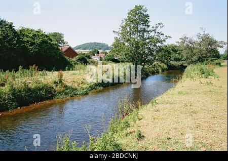 Der Fluss Sid in Sidford, in der Nähe von Sidmouth, East Devon, im Sommer Stockfoto