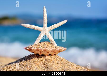 Ein weißer Seestern am Strand vor dem Hintergrund des Meeres und der blaue Himmel an einem heißen sonnigen Tag Stockfoto