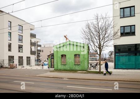 17.03.2019, Berlin, Berlin, Deutschland - 52 Grad Nord Neubauprojekt an der Dahme in der Regattastraße in Berlin-Gruau, dazwischen ein grünes altes B. Stockfoto