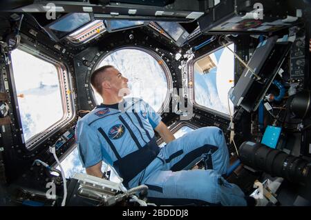 NASA-Astronaut Chris Cassidy. Das Bild ist ein Handout der NASA, das nur für redaktionelle Zwecke verwendet wird Stockfoto