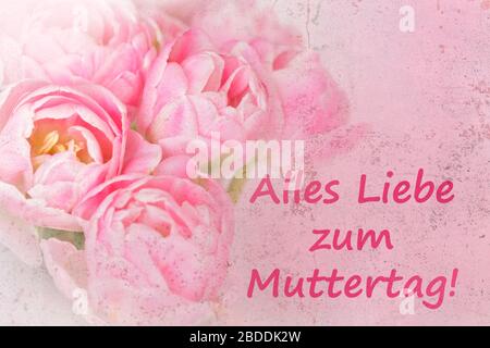 Vorlage für nostalgische Grußkarten. Rosa Blumen mit Text: Fröhlicher Muttertag in deutscher Sprache, verärgerter Grunge-Effekt. Stockfoto