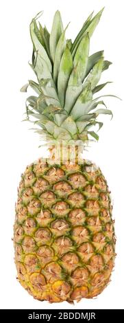Ganze reife frische Ananas isoliert auf weißem Hintergrund Stockfoto