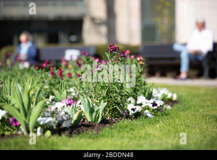 Düsseldorf, Deutschland. April 2020. Besucher eines Parks genießen die Mittagssonne in Düsseldorf bei weitem. Kredit: Martin Gerten / dpa / Alamy Live News Stockfoto