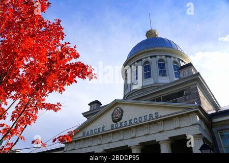 Old Montreal, Kanada - 25. Oktober 2019 - der Blick auf den Markt von Bonsecours, umgeben von markanten roten Farben aus Herbstlaub Stockfoto