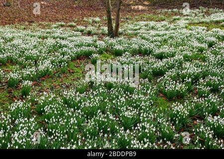 Hopton Hall in der Nähe von Maltock Derbyshire England Stockfoto