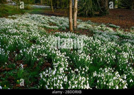 Hopton Hall in der Nähe von Maltock Derbyshire England Stockfoto