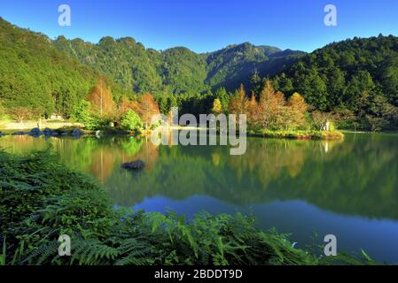 Mingchi National Forest Recreation Area Taiwan Stockfoto