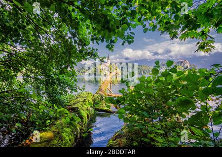 Bled Lake Landschaft. Kreative, ungewöhnliche Landschaft am Bleder See in Slowenien. Sommer-Postkarte aus Slowenien, Europa. Stockfoto