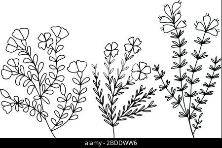 Satz von schwarz-weißen Zweigen und Wiesenblumen auf weißem Grund. Vektorgrafiken in doodle style für Grußkarten Stock Vektor