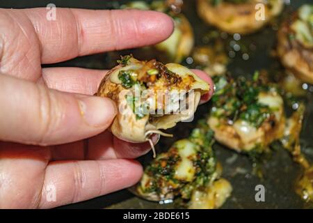 Im Ofen gebackene Pilze mit Käse, Zwiebel und Dill. Nahaufnahme Stockfoto