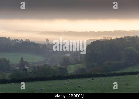 Morgennebel bei Sonnenaufgang über der Stadt Wells vom Ebbor Gorge National Nature Reserve in den Mendip Hills, Somerset, England. Stockfoto