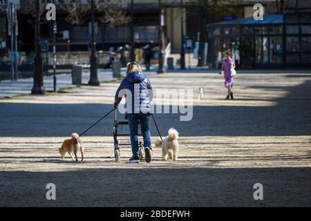 OID Frau mit einem Allrad Rollator, zu Fuß zwei Hunde gegenüber einer jungen Frau, die ihren Hund im Hintergrund. Stockfoto