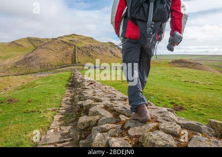 Hadrian's Wall an Milecastle Revolver 42 zu Fuß Richtung Osten zum Stil Rigg und Housesteads Roman Fort, Northumberland, England, Großbritannien Stockfoto