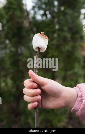 Mädchen (6-7) Hand halten gerösteten MarshmallowÂ auf Stock Stockfoto